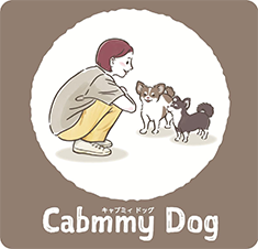 Cabmmy Dog