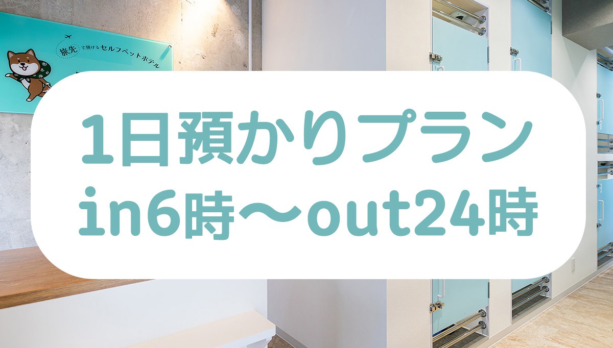 一日預かりプランが出来ました！
